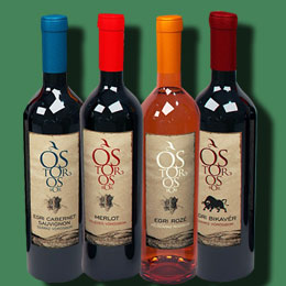 网站攻击工具手机版