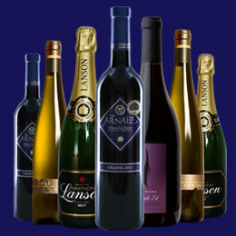 精彩纷呈的网站攻击器